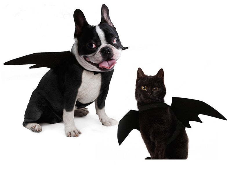 Halloween pet bat wings costume for dogs and cats
Lightweight black felt bat wings pet Halloween outfit
HoliPop bat wings accessory for pets spooky Halloween
Dog wearing Halloween bat costume wings with Velcro straps
Cat pet cosplay costume bat wings black felt Halloween