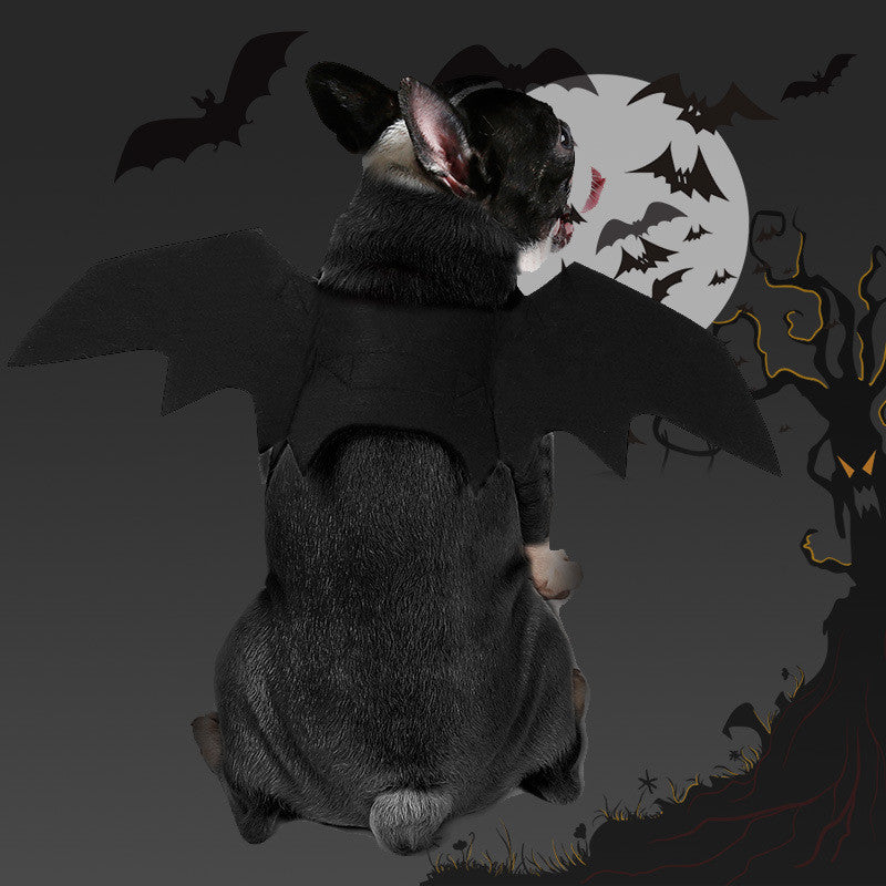 Halloween pet bat wings costume for dogs and cats
Lightweight black felt bat wings pet Halloween outfit
HoliPop bat wings accessory for pets spooky Halloween
Dog wearing Halloween bat costume wings with Velcro straps
Cat pet cosplay costume bat wings black felt Halloween