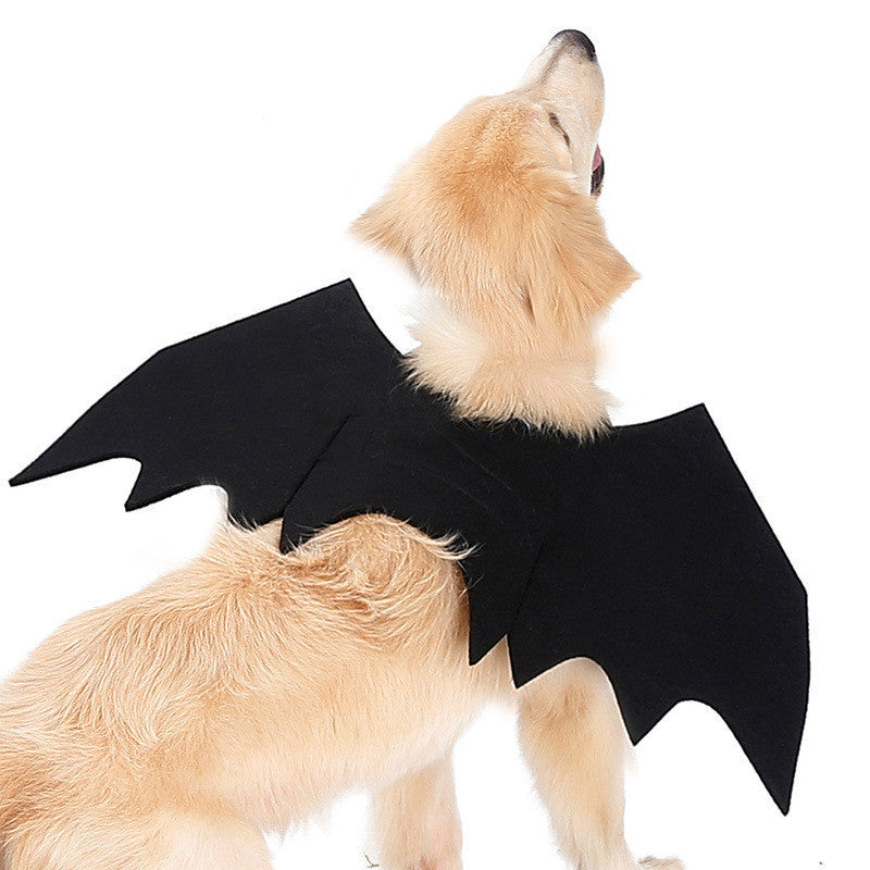 Halloween pet bat wings costume for dogs and cats
Lightweight black felt bat wings pet Halloween outfit
HoliPop bat wings accessory for pets spooky Halloween
Dog wearing Halloween bat costume wings with Velcro straps
Cat pet cosplay costume bat wings black felt Halloween