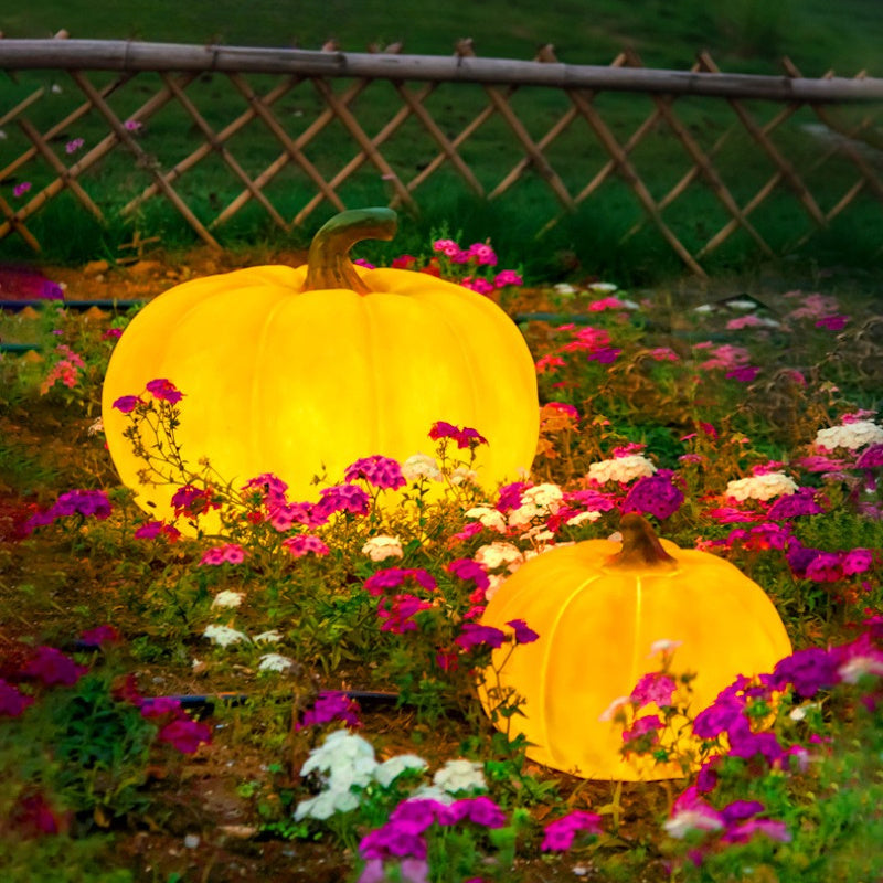 Outdoor solar pumpkin light glowing in Halloween yard décor
Waterproof resin pumpkin lamp for garden or courtyard Halloween
HoliPop solar-powered pumpkin lights for farmhouse outdoor décor
Halloween pumpkin lawn lamp eco-friendly solar light decoration
Festive glowing pumpkin yard lights for outdoor Halloween party