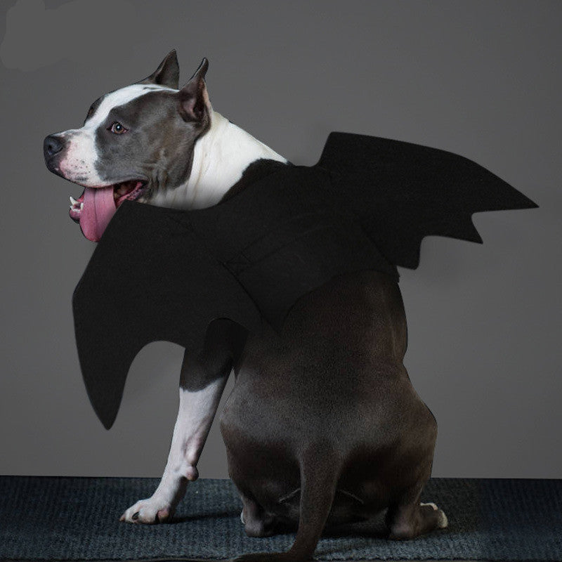 Halloween pet bat wings costume for dogs and cats
Lightweight black felt bat wings pet Halloween outfit
HoliPop bat wings accessory for pets spooky Halloween
Dog wearing Halloween bat costume wings with Velcro straps
Cat pet cosplay costume bat wings black felt Halloween