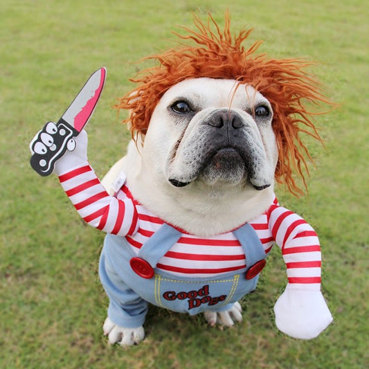 “Halloween Chucky dog costume funny killer doll outfit HoliPop”
“pet cosplay costume Chucky dog outfit Halloween funny”
“adjustable Chucky dog costume for pets HoliPop”
“funny Halloween killer doll dog costume spooky cosplay”