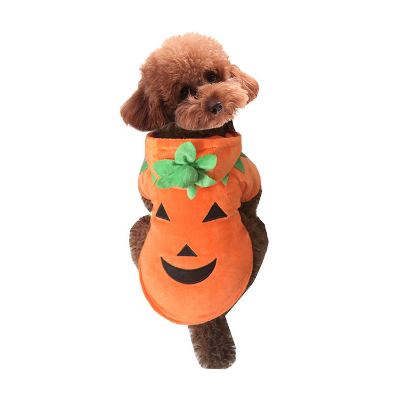 Halloween pet pumpkin demon costume for dogs and cats
Fleece pet Halloween outfit cozy pumpkin demon design
HoliPop dog cat Halloween transformation costume fleece
Pet pumpkin Halloween clothes unisex casual costume
Adorable pet Halloween costume pumpkin demon fleece outfit