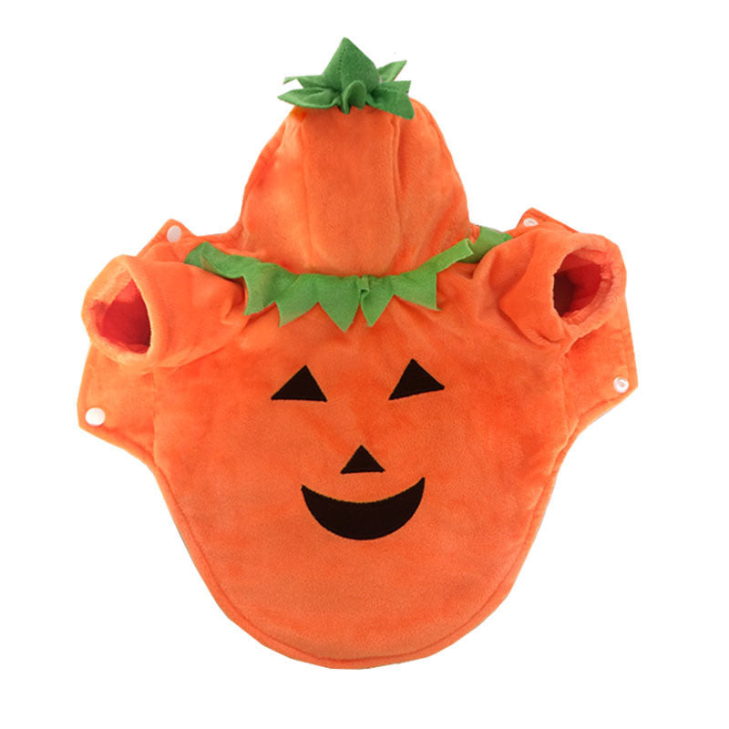 Halloween pet pumpkin demon costume for dogs and cats
Fleece pet Halloween outfit cozy pumpkin demon design
HoliPop dog cat Halloween transformation costume fleece
Pet pumpkin Halloween clothes unisex casual costume
Adorable pet Halloween costume pumpkin demon fleece outfit