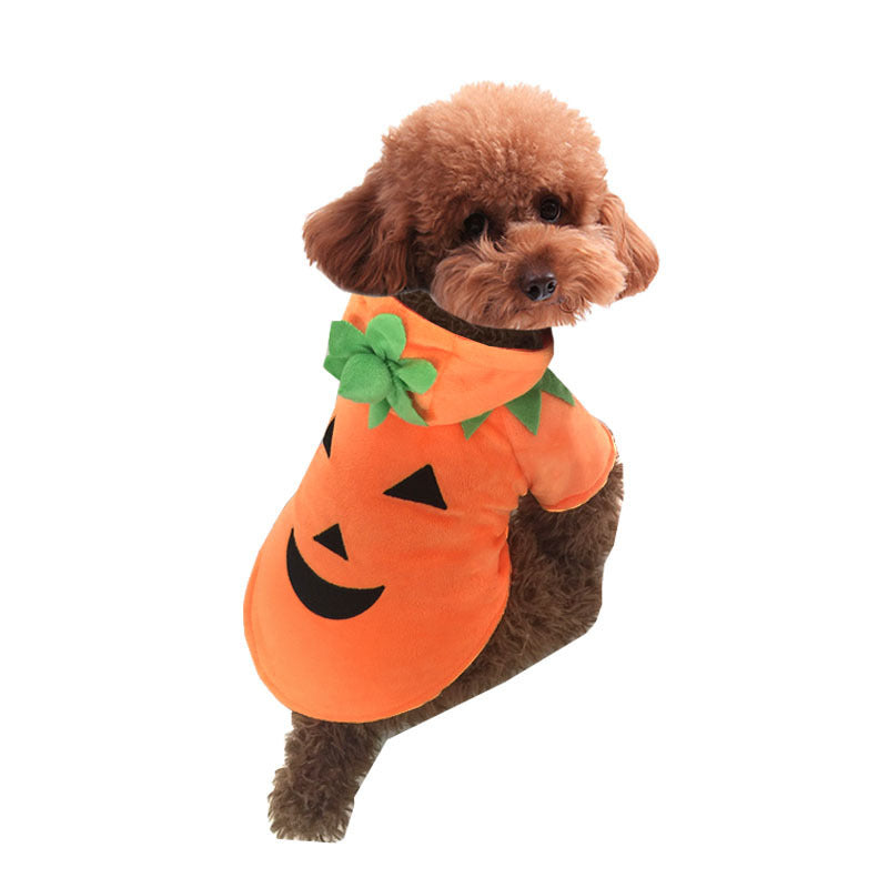 Halloween pet pumpkin demon costume for dogs and cats
Fleece pet Halloween outfit cozy pumpkin demon design
HoliPop dog cat Halloween transformation costume fleece
Pet pumpkin Halloween clothes unisex casual costume
Adorable pet Halloween costume pumpkin demon fleece outfit