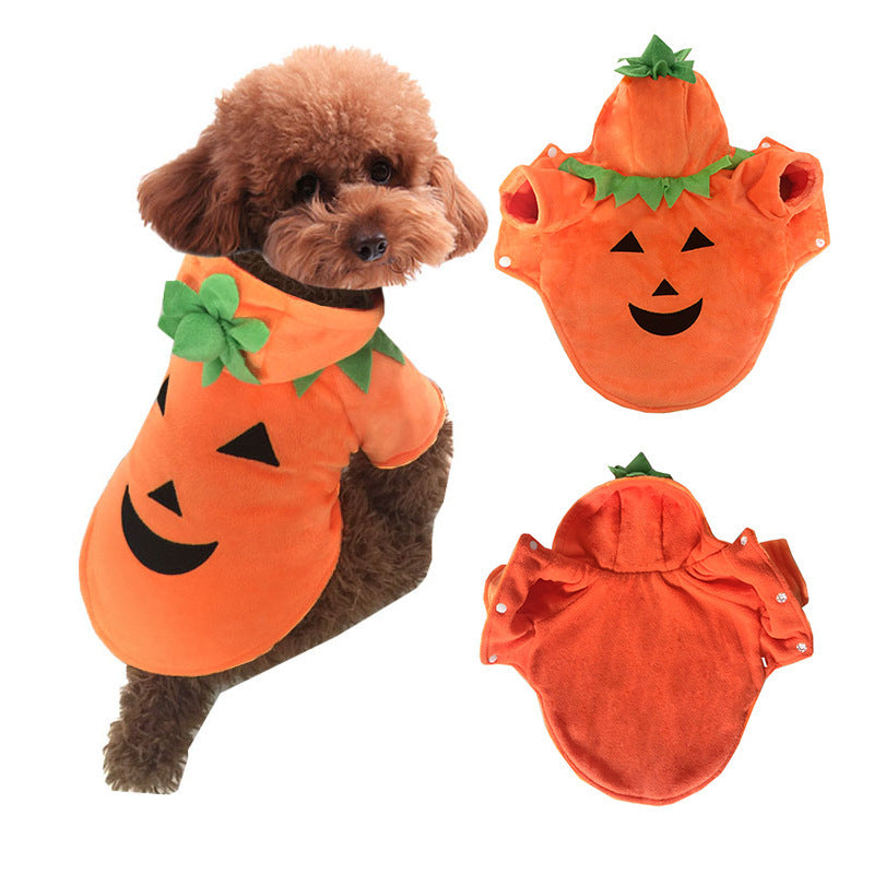Halloween pet pumpkin demon costume for dogs and cats
Fleece pet Halloween outfit cozy pumpkin demon design
HoliPop dog cat Halloween transformation costume fleece
Pet pumpkin Halloween clothes unisex casual costume
Adorable pet Halloween costume pumpkin demon fleece outfit